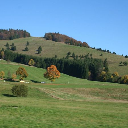 Cozy Holiday Apartment In The Black Forest Dachsberg im Schwarzwald Екстериор снимка