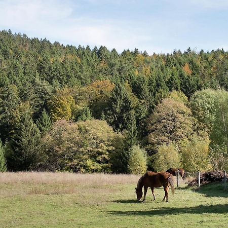 Cozy Holiday Apartment In The Black Forest Dachsberg im Schwarzwald Екстериор снимка