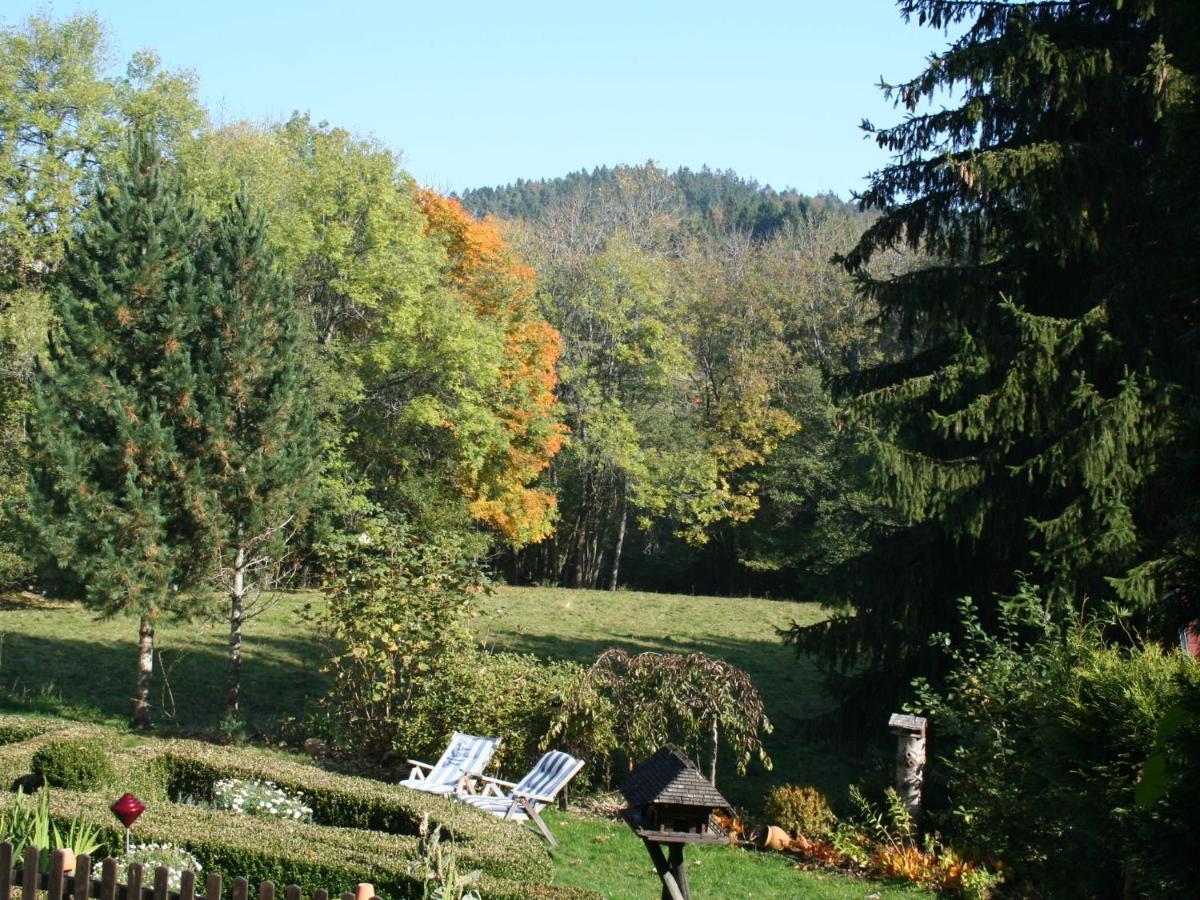 Cozy Holiday Apartment In The Black Forest Dachsberg im Schwarzwald Екстериор снимка