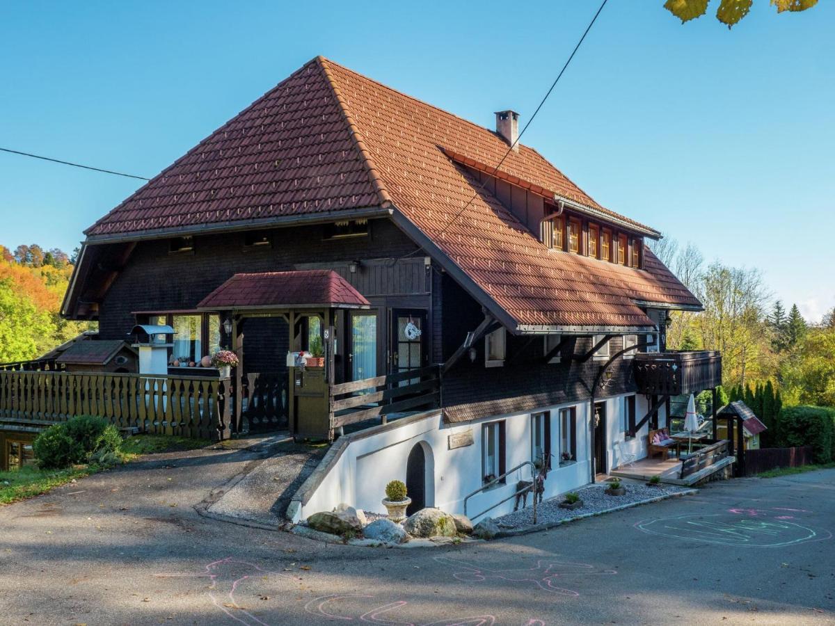 Cozy Holiday Apartment In The Black Forest Dachsberg im Schwarzwald Екстериор снимка