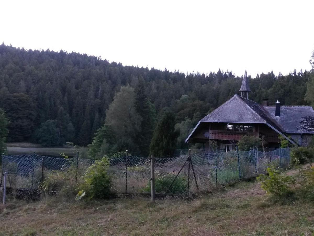 Cozy Holiday Apartment In The Black Forest Dachsberg im Schwarzwald Екстериор снимка