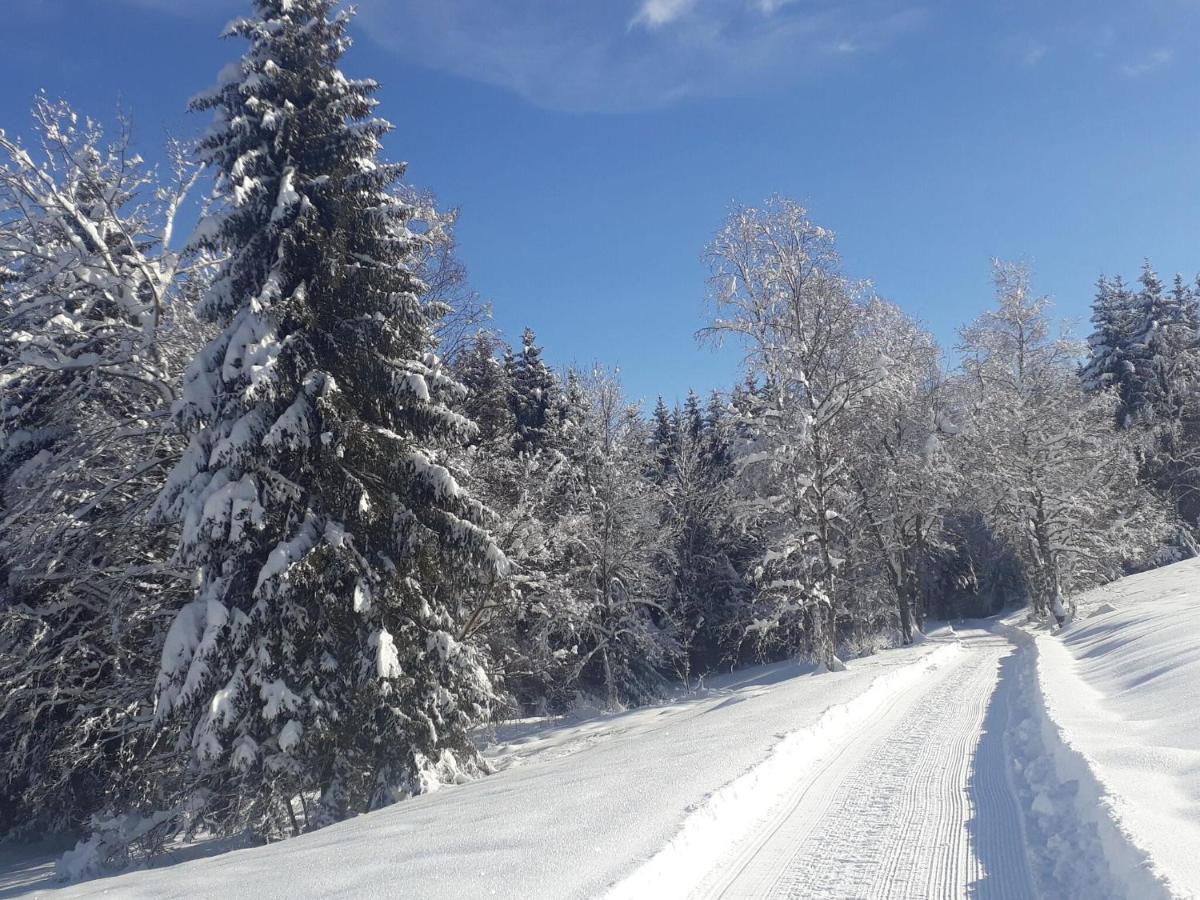 Cozy Holiday Apartment In The Black Forest Dachsberg im Schwarzwald Екстериор снимка