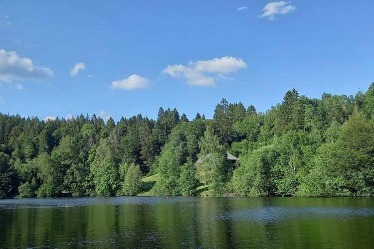 Cozy Holiday Apartment In The Black Forest Dachsberg im Schwarzwald Екстериор снимка